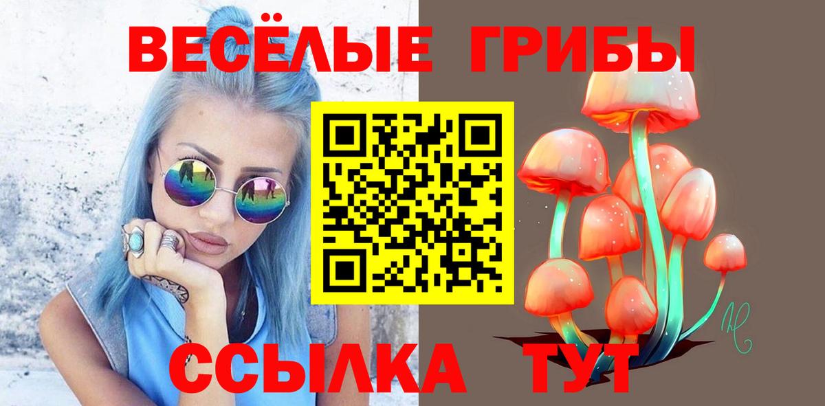 Севастополь  Галлюциногенные грибы Magic Shrooms  Вход с VPN  Псилоцибиновые грибы Magic Shrooms 